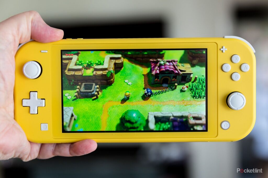Фото 2 — Популярные игры для Nintendo Switch Lite